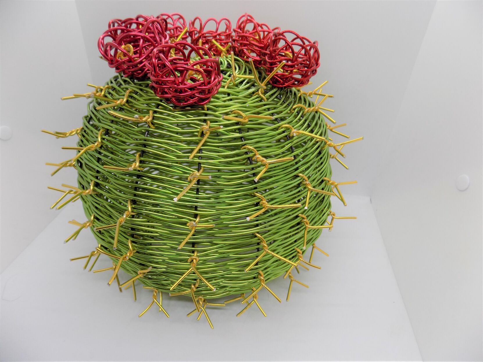 Sharie Monsam_Barrel Cactus.jpg